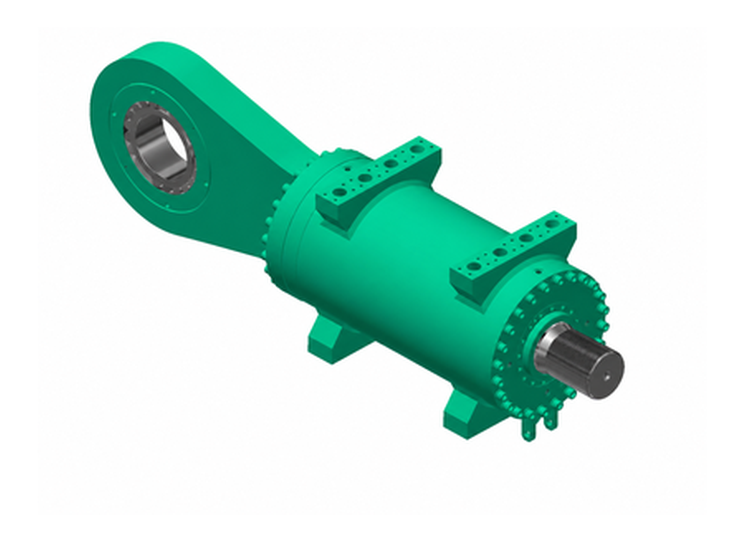 Plant Side Hydraulic Cylinders